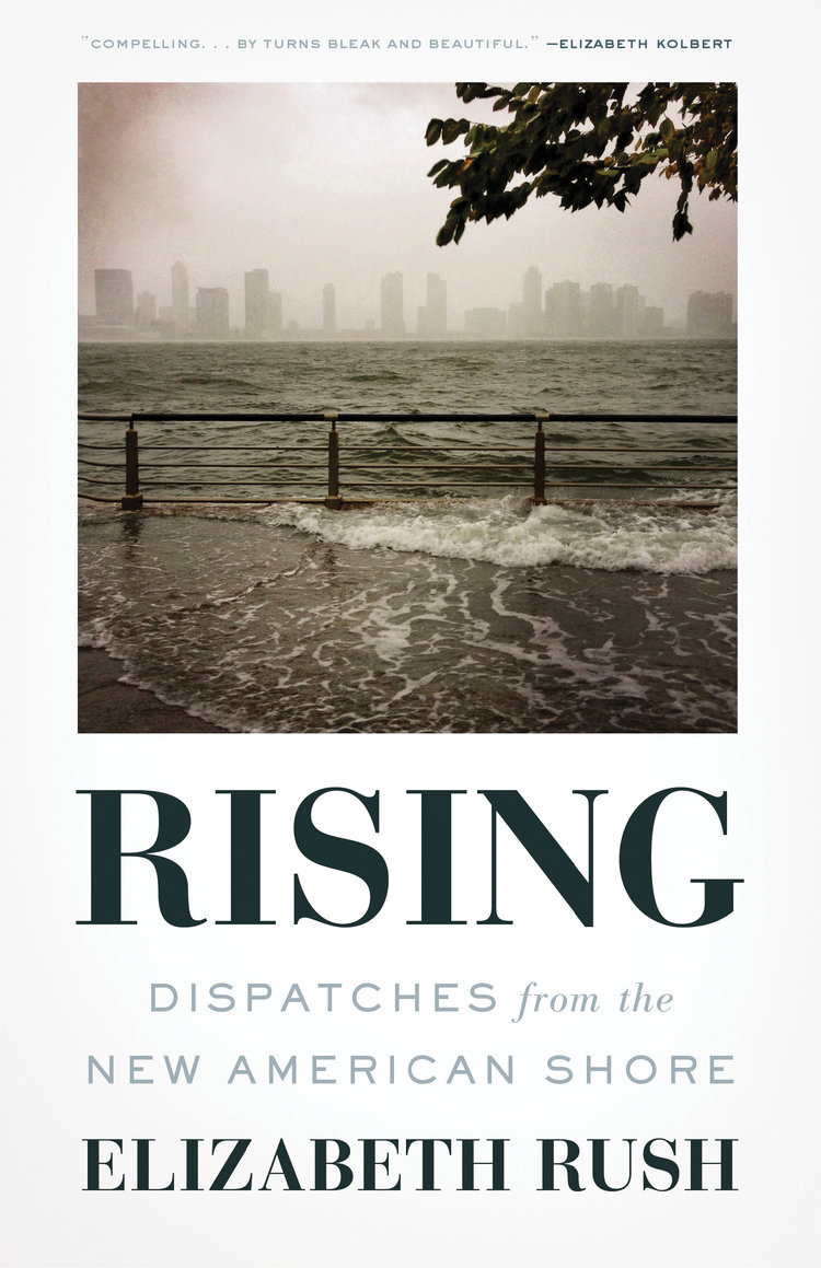 Book cover reads Rising: Dispatches from the New AMerican Shote.