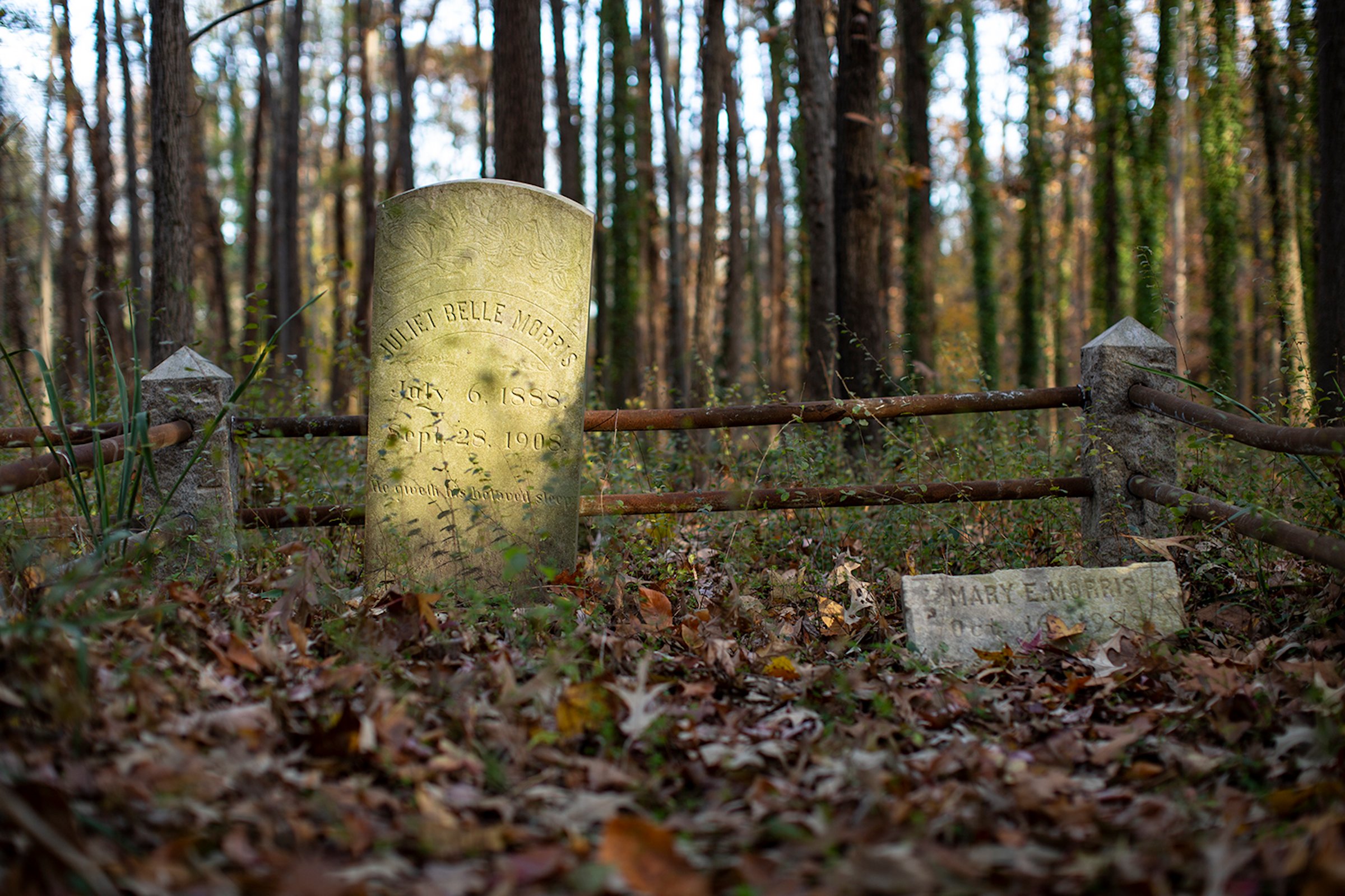 Sun shines on a headstone in a Richmond East End Cemetery